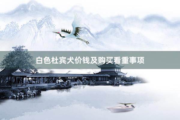 白色杜宾犬价钱及购买看重事项
